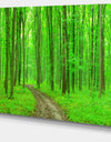 Pathway in Bright Green Forest - Modern Forest Canvas Art