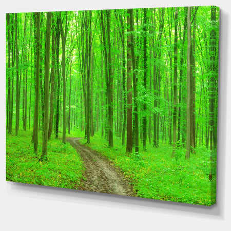 Pathway in Bright Green Forest - Modern Forest Canvas Art