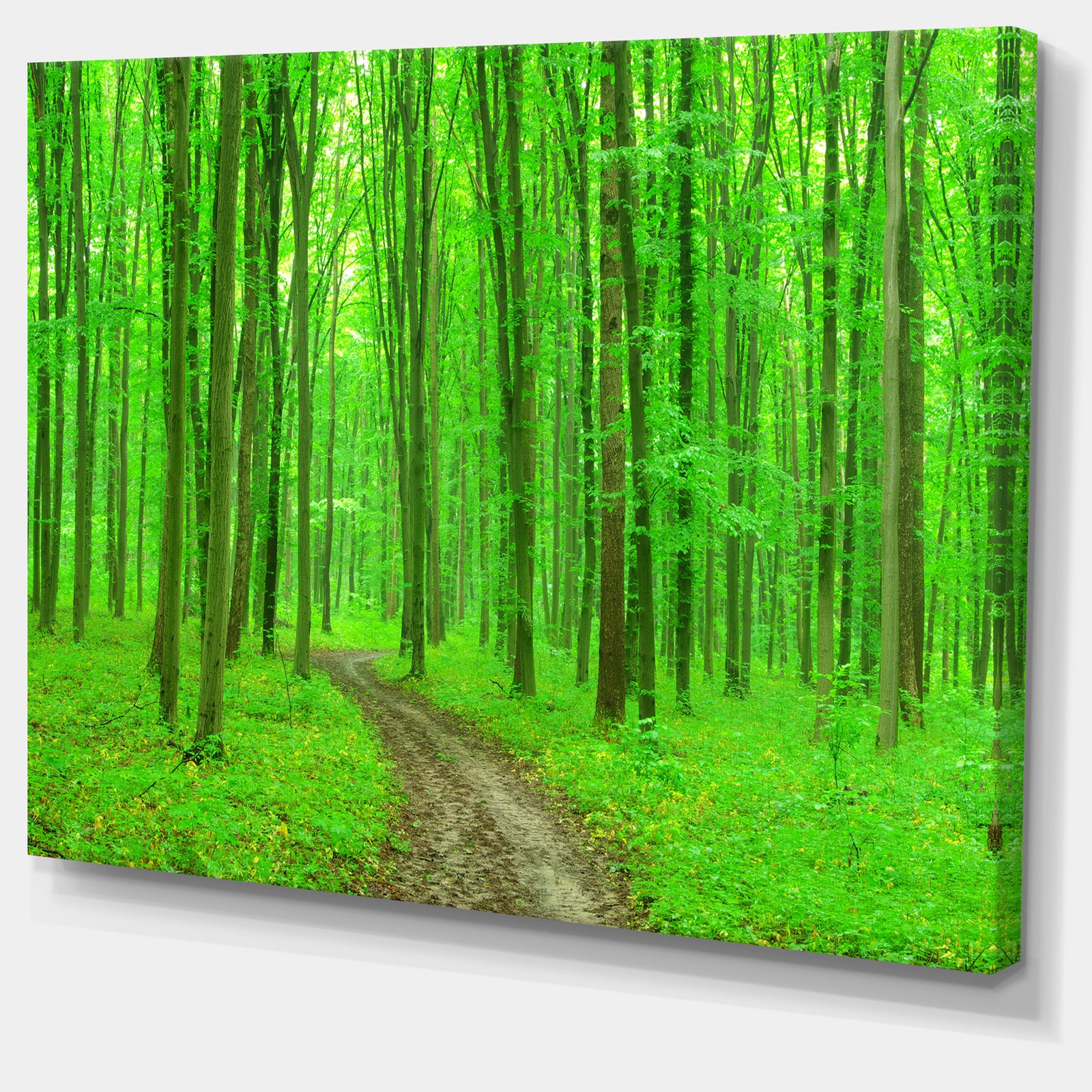 Pathway in Bright Green Forest - Modern Forest Canvas Art