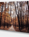 Road in Autumn Golden Forest - Large Forest Canvas Art