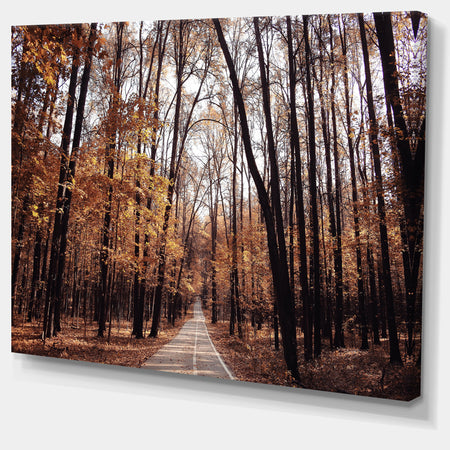 Road in Autumn Golden Forest - Large Forest Canvas Art