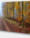 Raising Sun in Fall Forest Panorama - Large Forest Canvas Art