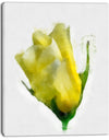 Beautiful Yellow Rose Watercolor - Flower Canvas Print Artwork