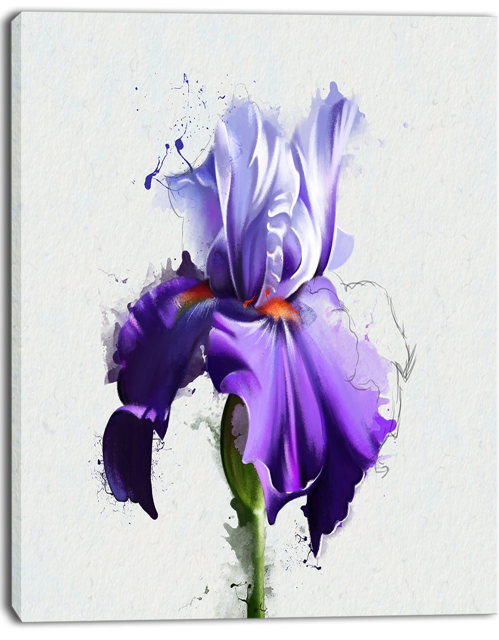 Beautiful Blue Iris Watercolor Sketch - Flower Canvas Print Artwork