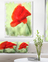 Big Red Poppy Flower Watercolor - Flower Canvas Print Artwork