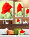 Big Red Poppy Flower Watercolor - Flower Canvas Print Artwork