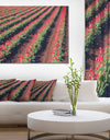 Beautiful Field of Red Tulip Flowers - Large Landscape Canvas Art