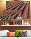 Beautiful Field of Red Tulip Flowers - Large Landscape Canvas Art