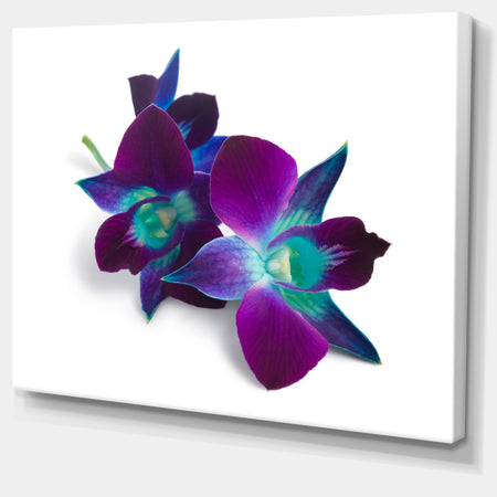 Deep Purple Orchid Flowers on White - Flowers Canvas Wall Artwork
