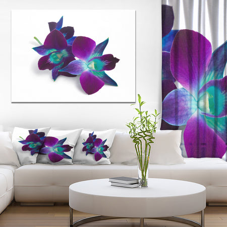 Deep Purple Orchid Flowers on White - Flowers Canvas Wall Artwork