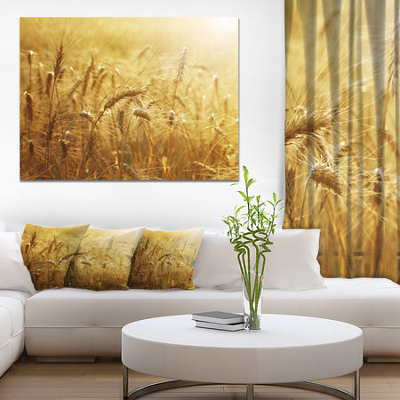 Golden Wheat Field - Landscape Wall Art Print Canvas