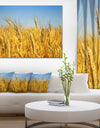 Bright Golden Wheat Field - Landscape Wall Art Print Canvas