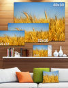 Bright Golden Wheat Field - Landscape Wall Art Print Canvas