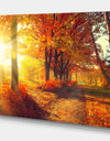 Autumnal Trees in Sunrays - Large Landscape Canvas Art Print