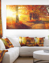 Autumnal Trees in Sunrays - Large Landscape Canvas Art Print