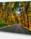 Road Through Yellow Forest - Extra Large Landscape Art Canvas