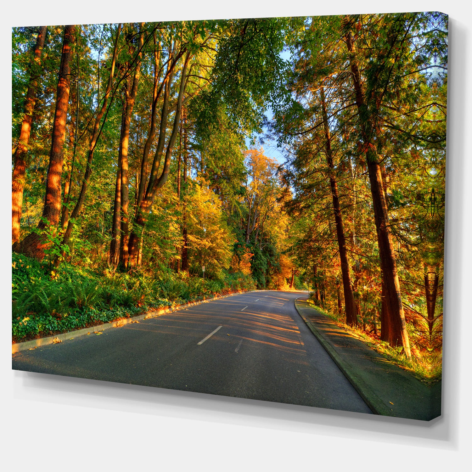 Road Through Yellow Forest - Extra Large Landscape Art Canvas