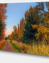 Road Through Fall Forest - Extra Large Landscape Art Canvas