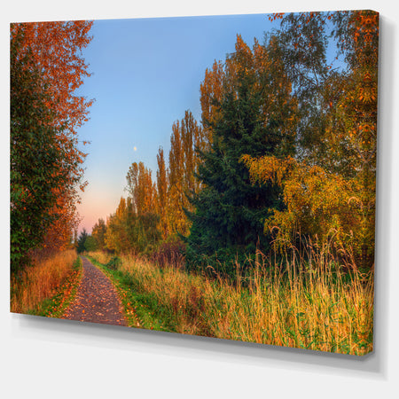 Road Through Fall Forest - Extra Large Landscape Art Canvas