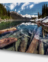 Sunken Logs n Mountain Lake - Extra Large Landscape Art Canvas