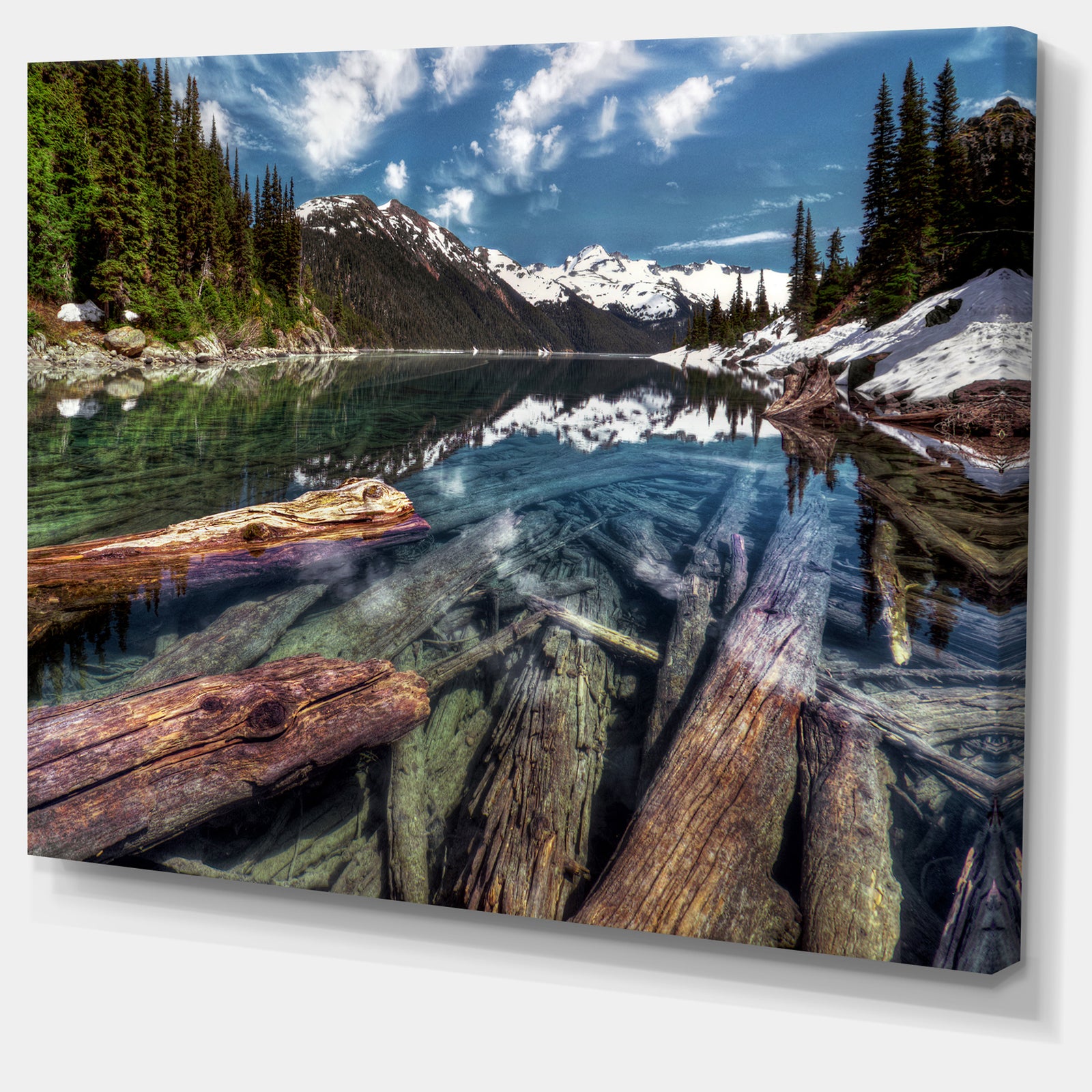 Sunken Logs n Mountain Lake - Extra Large Landscape Art Canvas