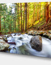 Creek Flowing Through Forest - Landscape Artwork Canvas Print