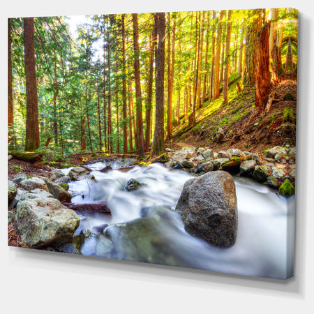 Creek Flowing Through Forest - Landscape Artwork Canvas Print