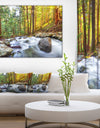 Creek Flowing Through Forest - Landscape Artwork Canvas Print