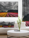 Parallel Rows of Colorful Tulips - Landscape Wall Art Print Canvas