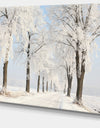 Winter Lane on Sunny Morning - Modern Forest Canvas Wall Artwork