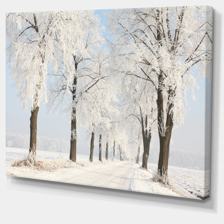 Winter Lane on Sunny Morning - Modern Forest Canvas Wall Artwork