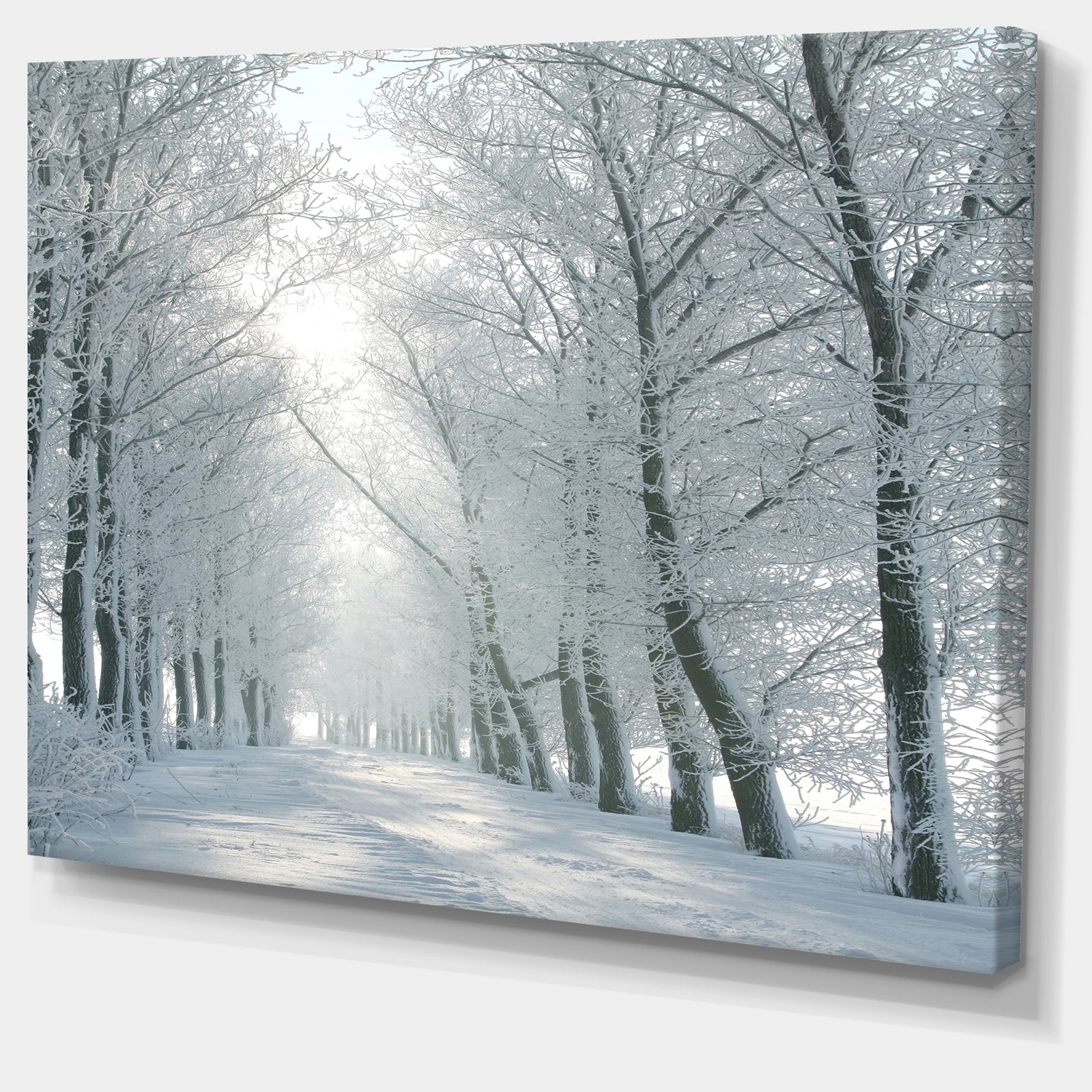 Winter Road Backlit my Morning Sun - Modern Forest Canvas Wall Artwork