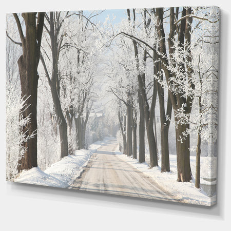 Winter Lane in Countryside - Large Forest Artwork Canvas