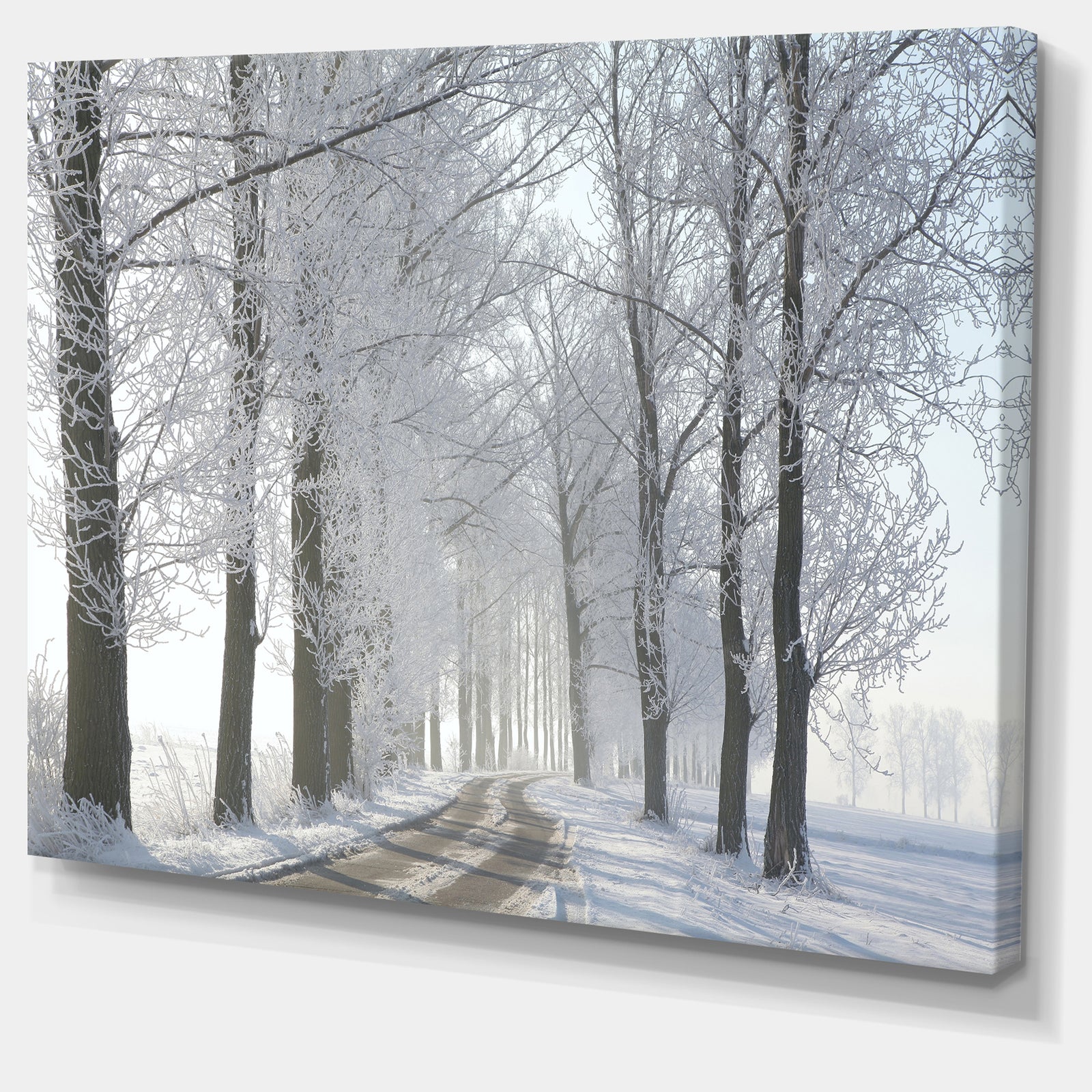 Winter Rural Road in the Morning - Large Forest Artwork Canvas