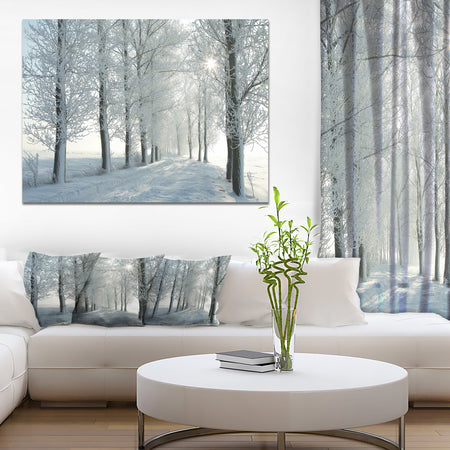 Winter Trees Backlit by Morning Sun - Large Forest Artwork Canvas