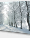 Winter Country Lane on Frosty Morning - Large Forest Artwork Canvas