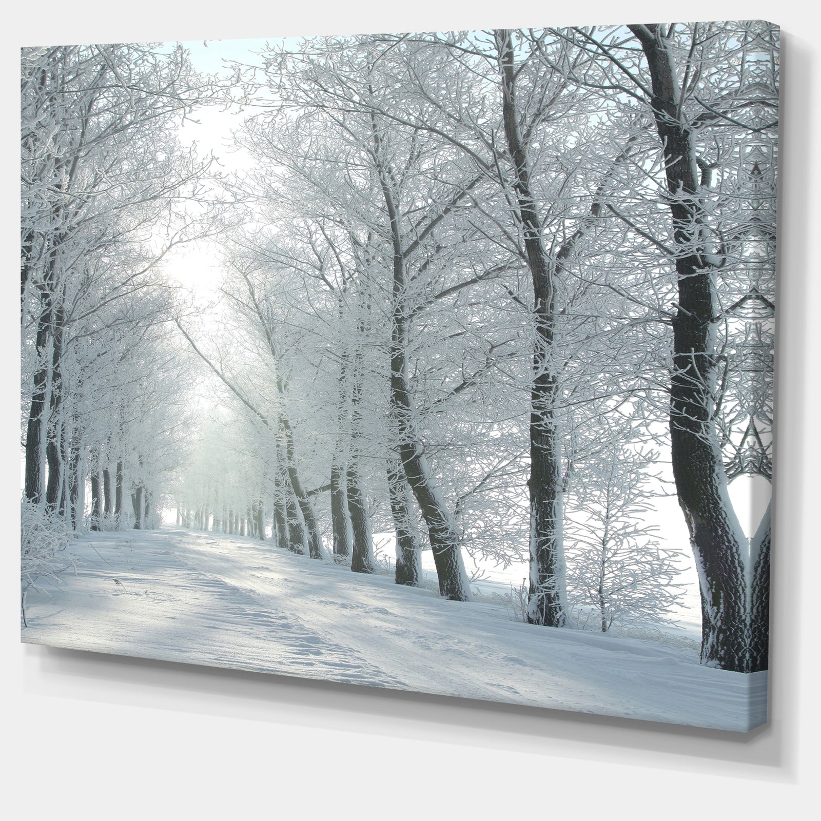 Winter Country Lane on Frosty Morning - Large Forest Artwork Canvas