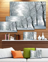 Winter Country Lane on Frosty Morning - Large Forest Artwork Canvas