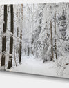 Dense Winter Forest and Lane - Large Forest Artwork Canvas