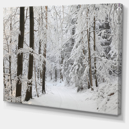 Dense Winter Forest and Lane - Large Forest Artwork Canvas