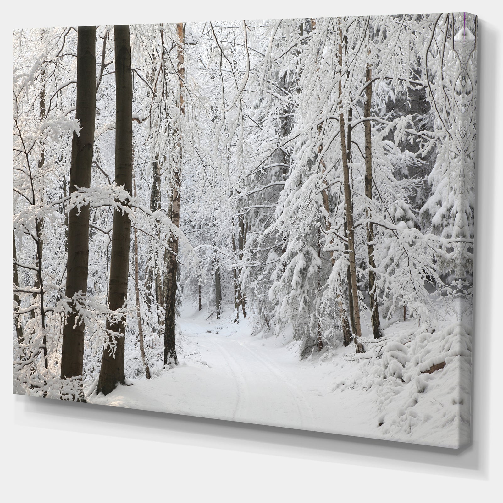 Dense Winter Forest and Lane - Large Forest Artwork Canvas