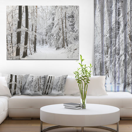 Dense Winter Forest and Lane - Large Forest Artwork Canvas
