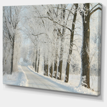 Winter Road in Dense Foggy Forest - Large Forest Artwork Canvas