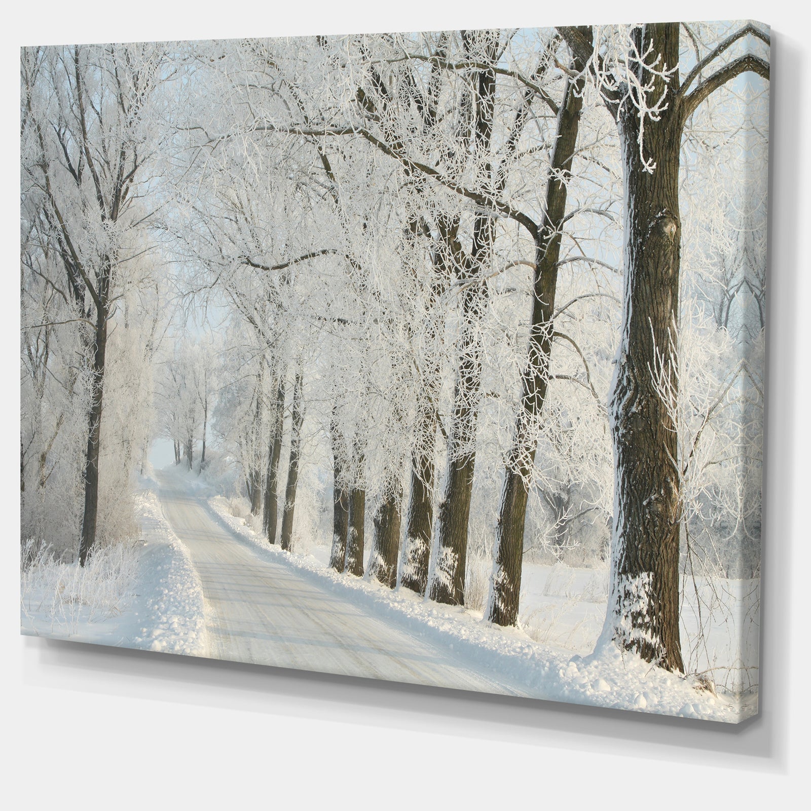 Winter Road in Dense Foggy Forest - Large Forest Artwork Canvas