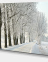 Winter Rural Road at Sunrise - Large Forest Artwork Canvas