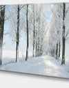 Beautiful Winter Forest Lane Photo - Large Forest Artwork Canvas