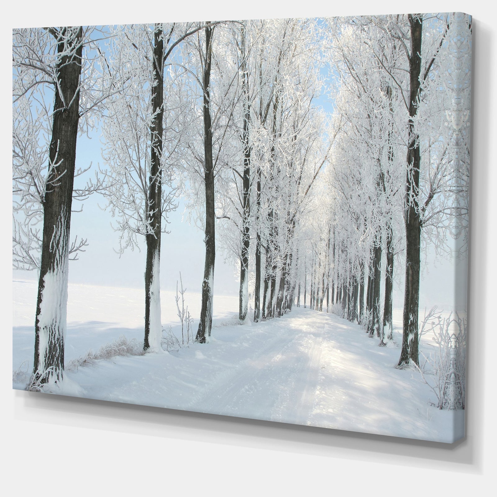 Beautiful Winter Forest Lane Photo - Large Forest Artwork Canvas