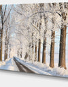 Beautiful Winter Lane at Morning - Large Forest Artwork Canvas