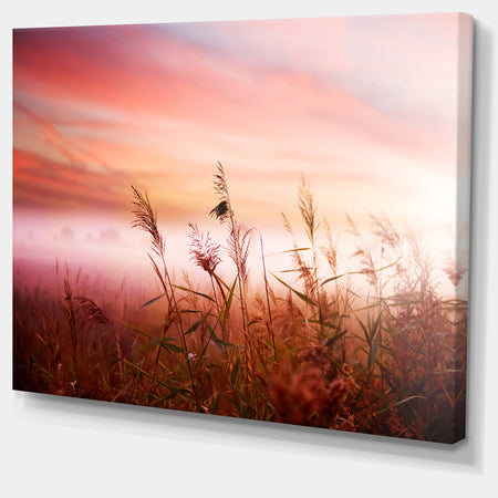 Foggy Land with Early Morning Mist - Landscape Artwork Canvas Print