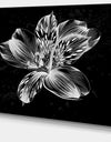 Beautiful Monochrome Alstroemeria Flower - Extra Large Floral Wall Art